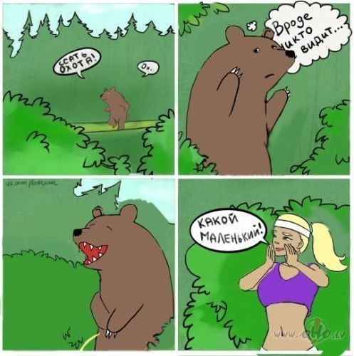 Стриптиз Медведи Порно