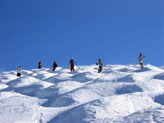 62947.jpg