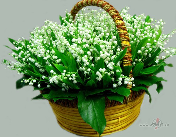 Страничка Марина, ЭкстраМагистр -2*4 этап - Страница 11 77097